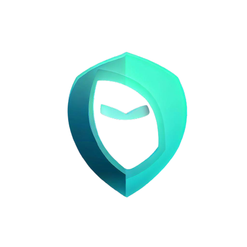 NetNinja VPN Project